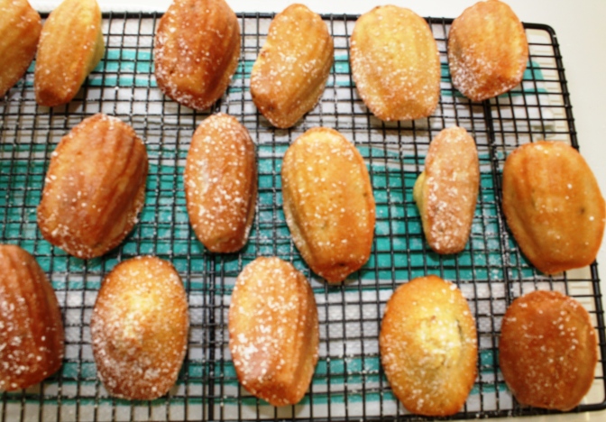 Rack of lime and coconut madeleines